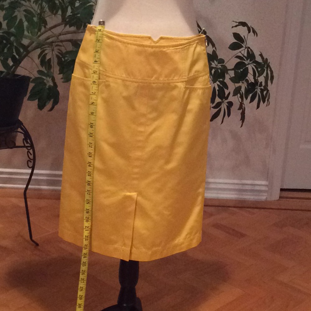 Lida Baday skirt
